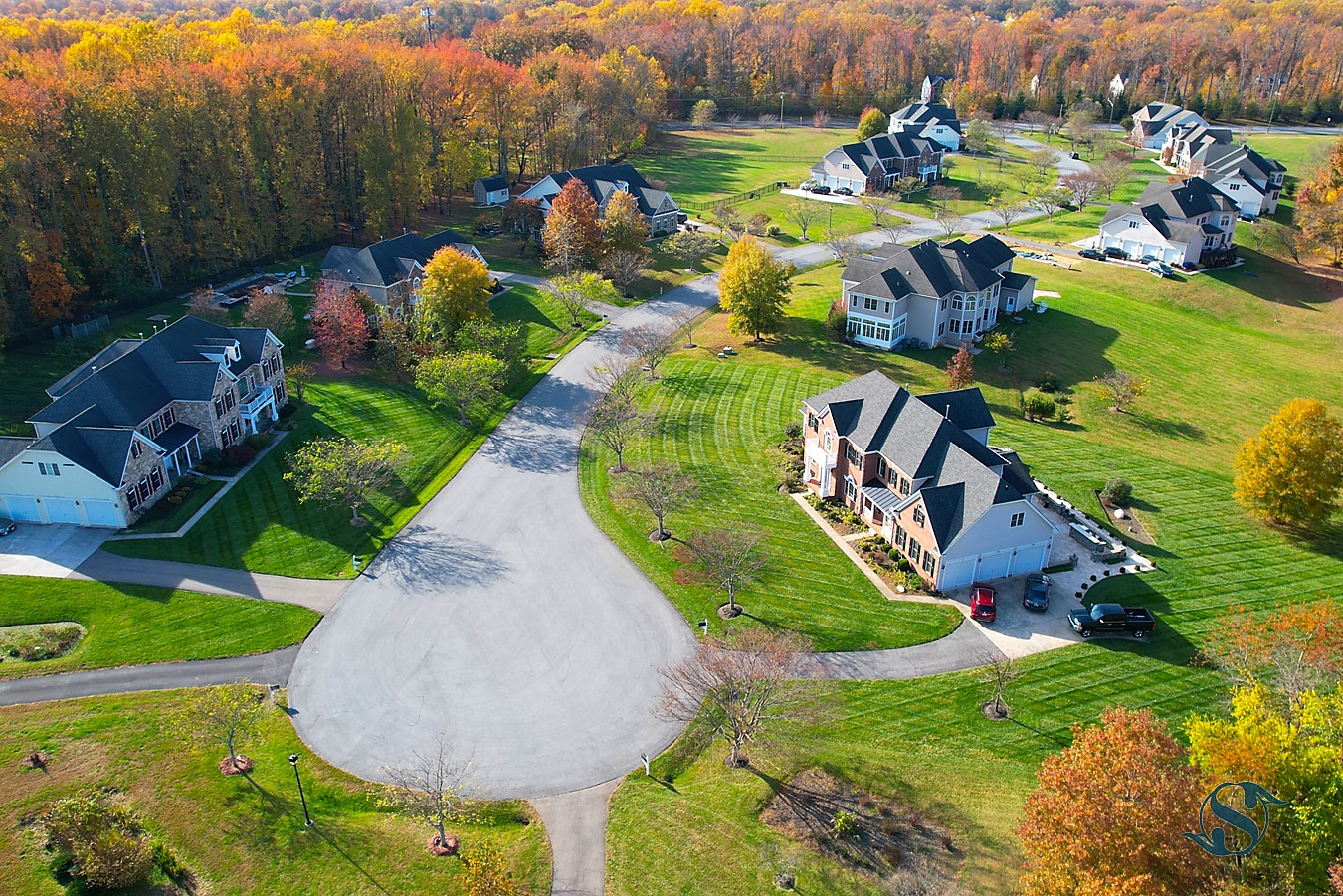 Drone Portfolio Image